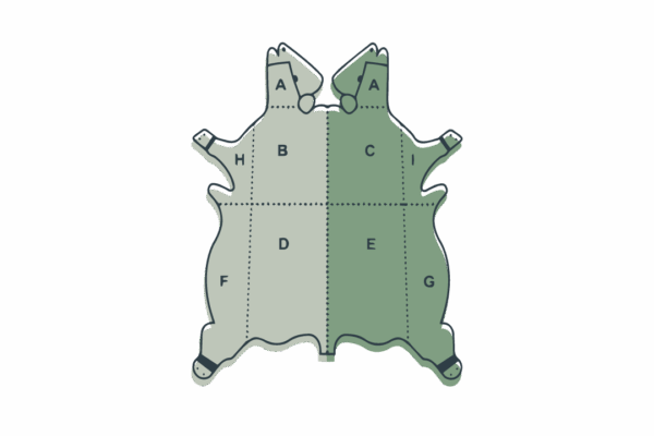 Lado - Image 2